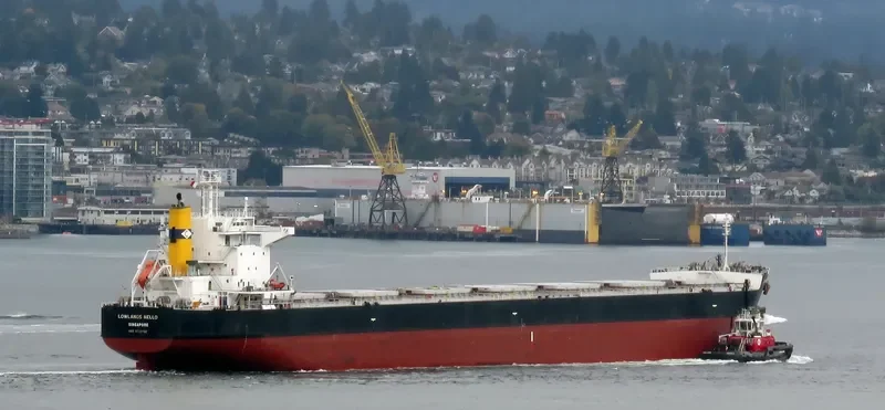 LOWLANDS NELLO Bulk Carrier IMO 9724192 photo 5