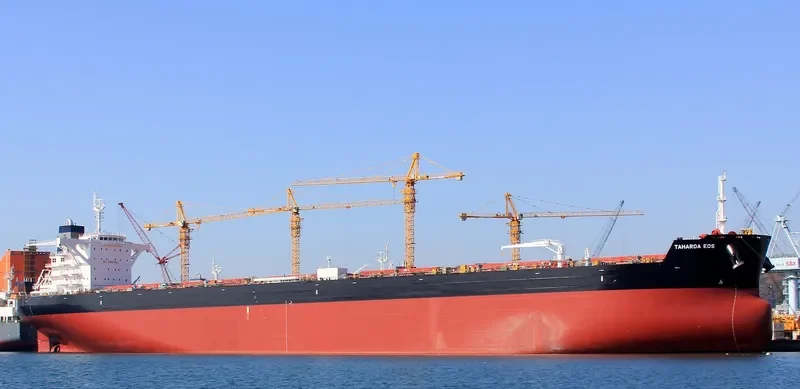 TAHAROA EOS Bulk Carrier IMO 9724362
