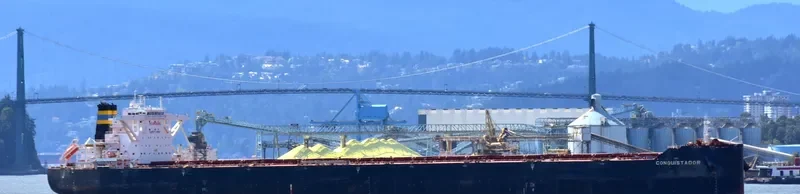 CONQUISTADOR Bulk Carrier IMO 9724635 photo 2