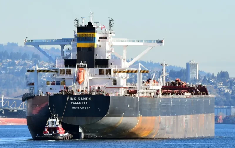 PINK SANDS Bulk Carrier IMO 9724647 photo 4