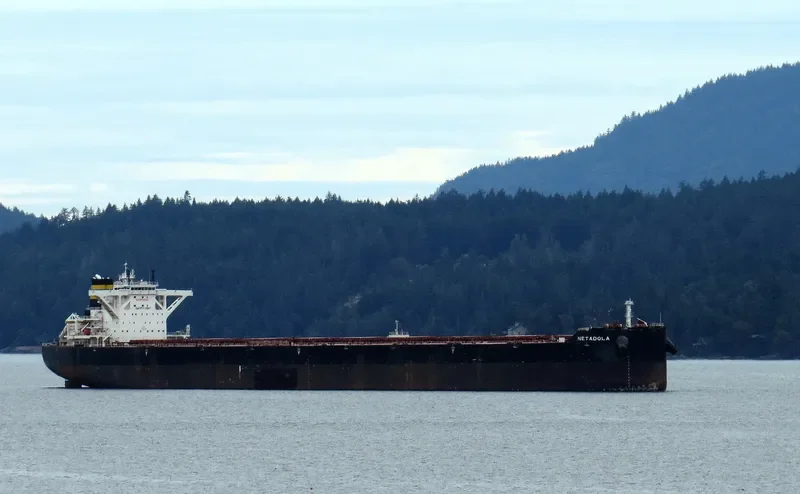 MARAN LOYALTY Bulk Carrier IMO 9724659 photo 4