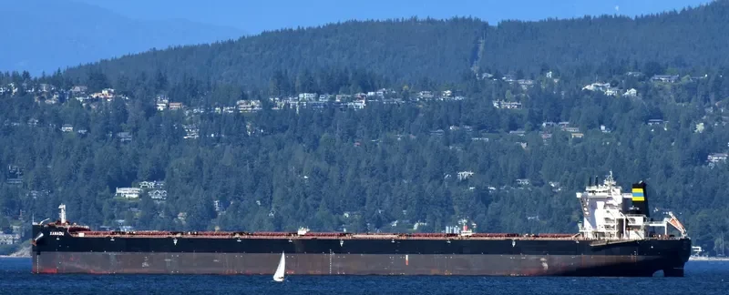 TRUE CRIMSON Bulk Carrier IMO 9724661 photo 2