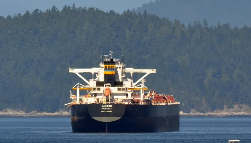 TRUE CRIMSON Bulk Carrier IMO 9724661 photo 6