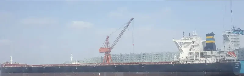 TRUE CRIMSON Bulk Carrier IMO 9724661 photo 9