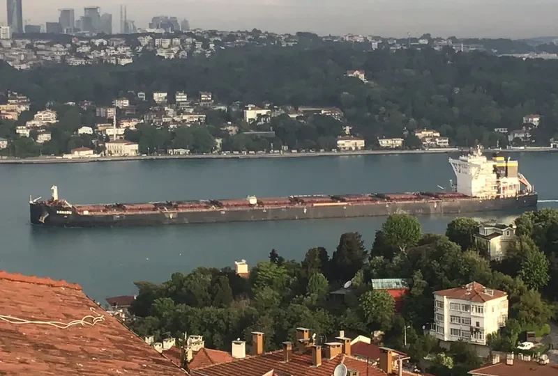TRUE CRIMSON Bulk Carrier IMO 9724661 photo 10
