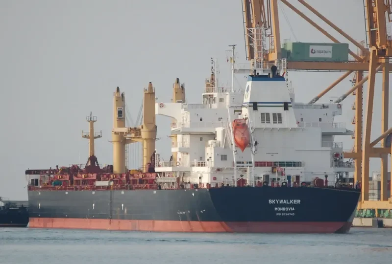 SKYWALKER Bulk Carrier IMO 9724740