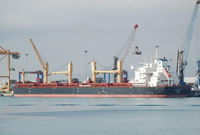 SKYWALKER Bulk Carrier IMO 9724740 photo 2