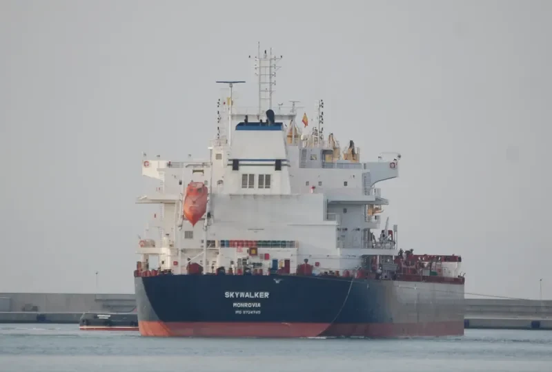SKYWALKER Bulk Carrier IMO 9724740 photo 3