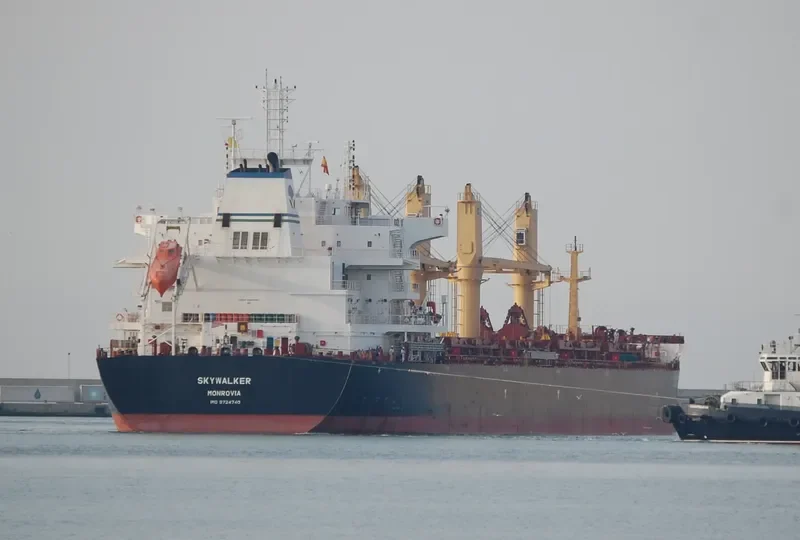 SKYWALKER Bulk Carrier IMO 9724740 photo 4