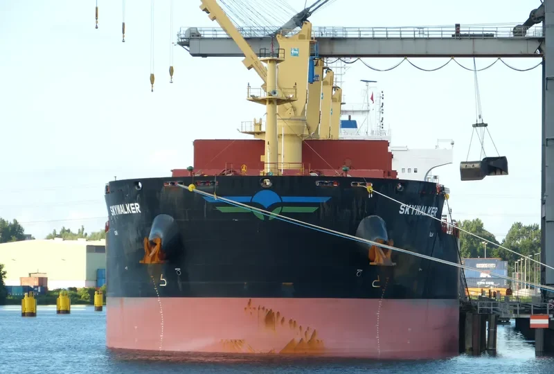 SKYWALKER Bulk Carrier IMO 9724740 photo 6