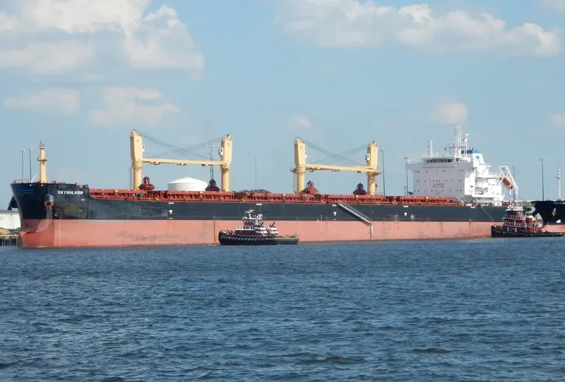 SKYWALKER Bulk Carrier IMO 9724740 photo 9