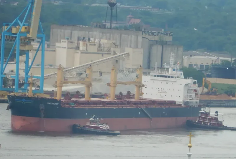 SKYWALKER Bulk Carrier IMO 9724740 photo 10