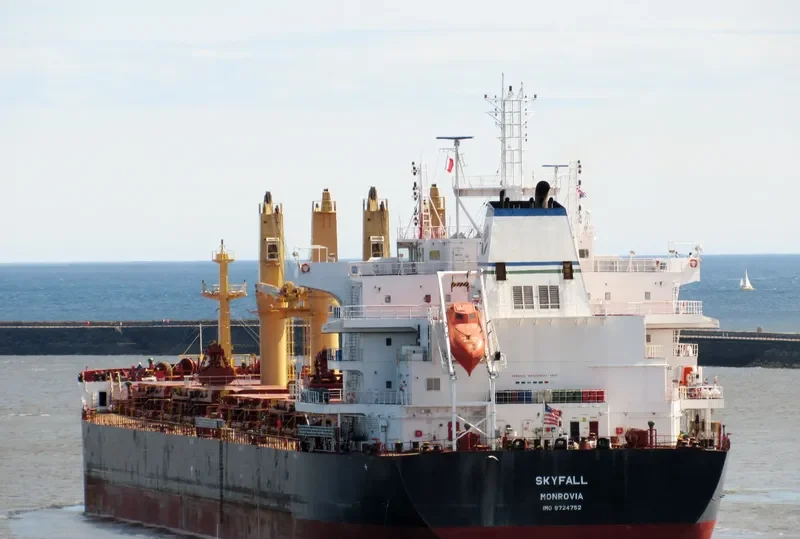SKYFALL Bulk Carrier IMO 9724752 photo 3