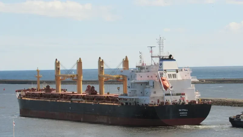 SKYFALL Bulk Carrier IMO 9724752 photo 4