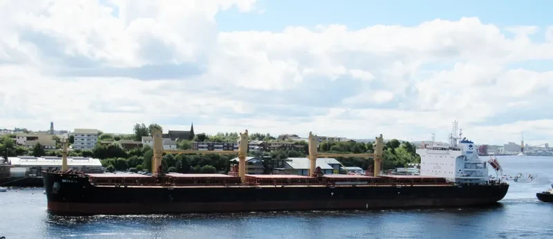 SKYFALL Bulk Carrier IMO 9724752 photo 5