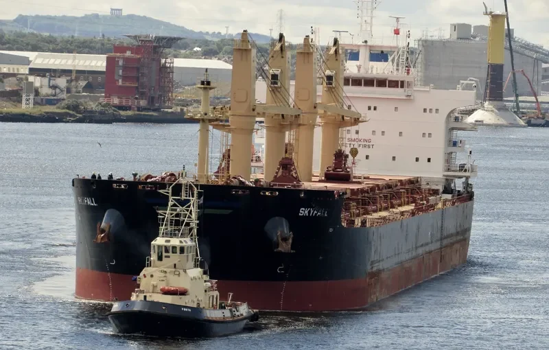 SKYFALL Bulk Carrier IMO 9724752 photo 6