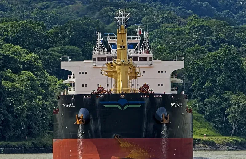 SKYFALL Bulk Carrier IMO 9724752 photo 8