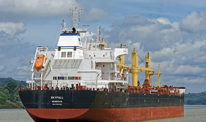 SKYFALL Bulk Carrier IMO 9724752 photo 9