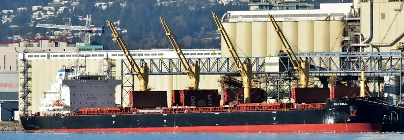 SKYFALL Bulk Carrier IMO 9724752 photo 10