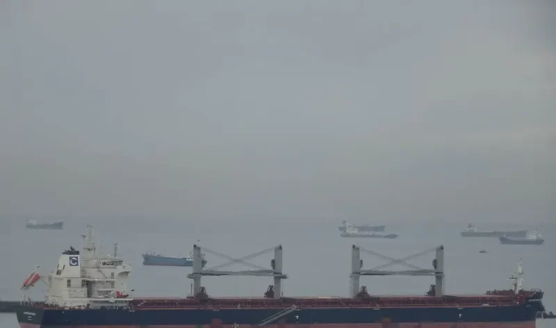 BELTIGER Bulk Carrier IMO 9724764