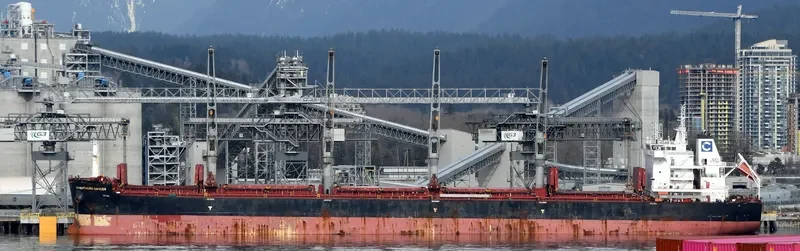 BELTIGER Bulk Carrier IMO 9724764 photo 2