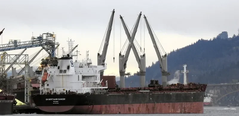 BELTIGER Bulk Carrier IMO 9724764 photo 4