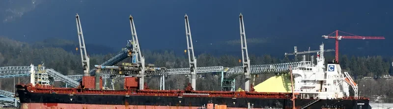 BELTIGER Bulk Carrier IMO 9724764 photo 5