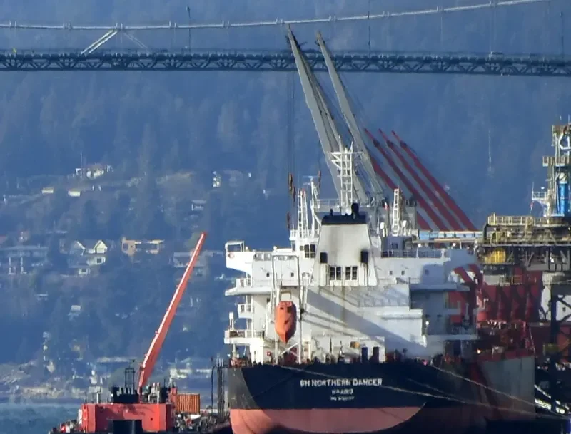 BELTIGER Bulk Carrier IMO 9724764 photo 6
