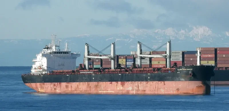 BELTIGER Bulk Carrier IMO 9724764 photo 7