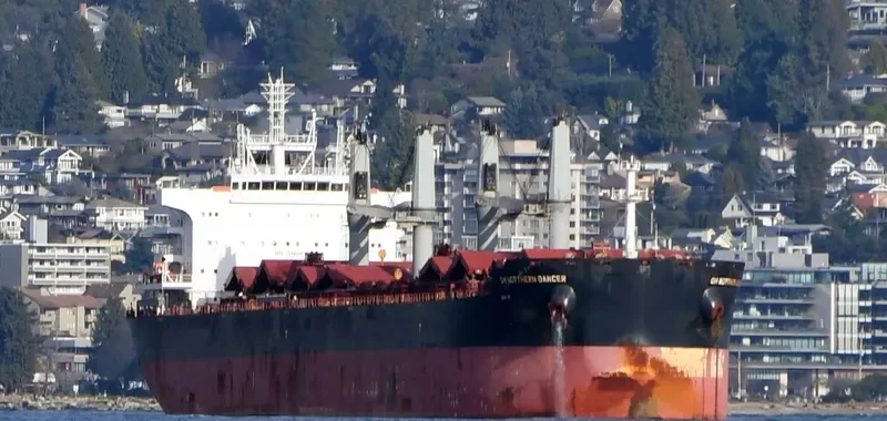 BELTIGER Bulk Carrier IMO 9724764 photo 9