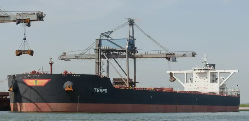 TEMPO Bulk Carrier IMO 9724829