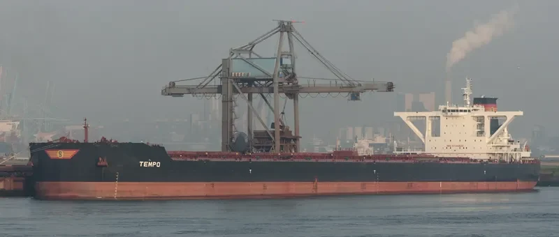 TEMPO Bulk Carrier IMO 9724829 photo 2