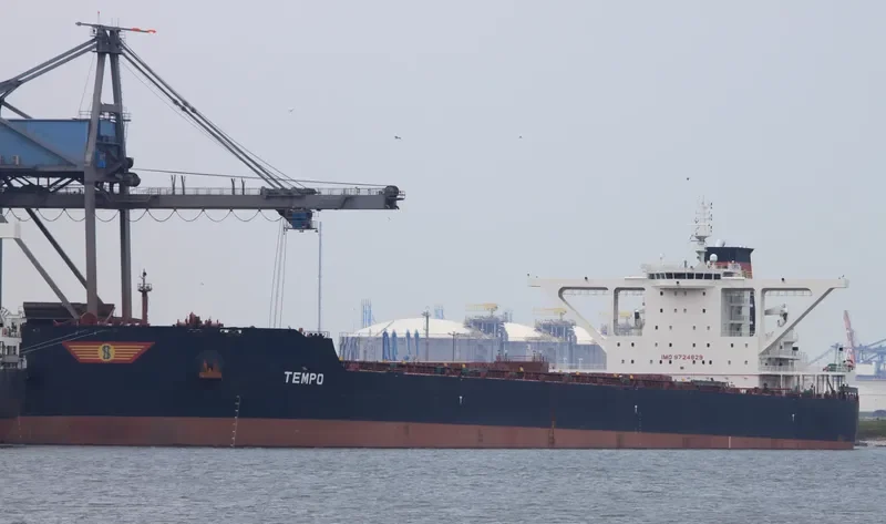 TEMPO Bulk Carrier IMO 9724829 photo 4