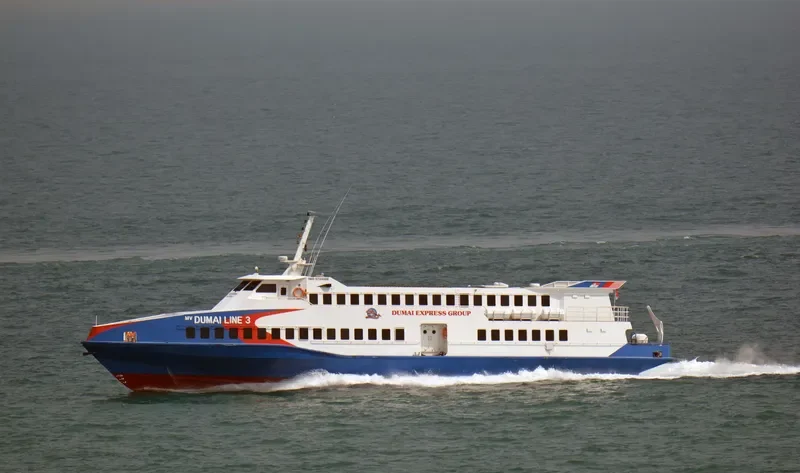 DUMAI LINE 3 Passenger Ship IMO 9724908