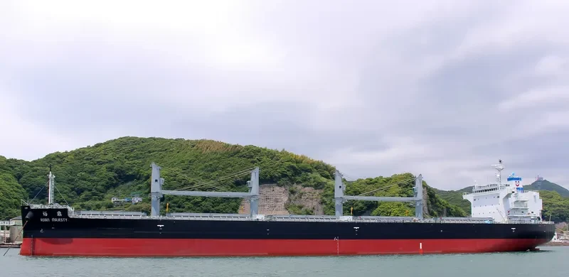 ASIAN MAJESTY Bulk Carrier IMO 9724996 photo 2
