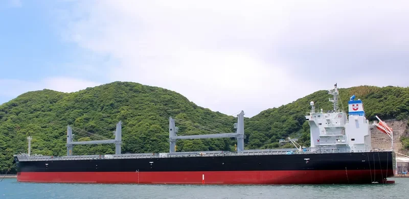 ASIAN MAJESTY Bulk Carrier IMO 9724996 photo 3