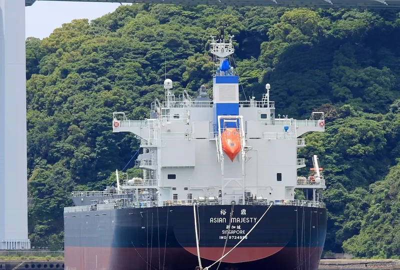ASIAN MAJESTY Bulk Carrier IMO 9724996 photo 5