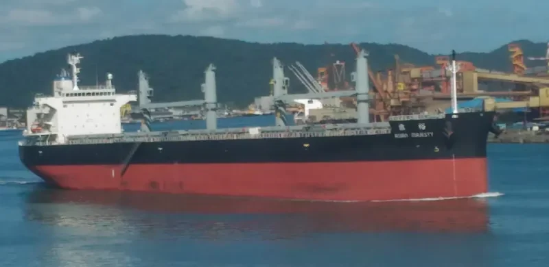 ASIAN MAJESTY Bulk Carrier IMO 9724996 photo 6