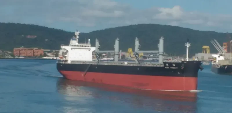 ASIAN MAJESTY Bulk Carrier IMO 9724996 photo 7