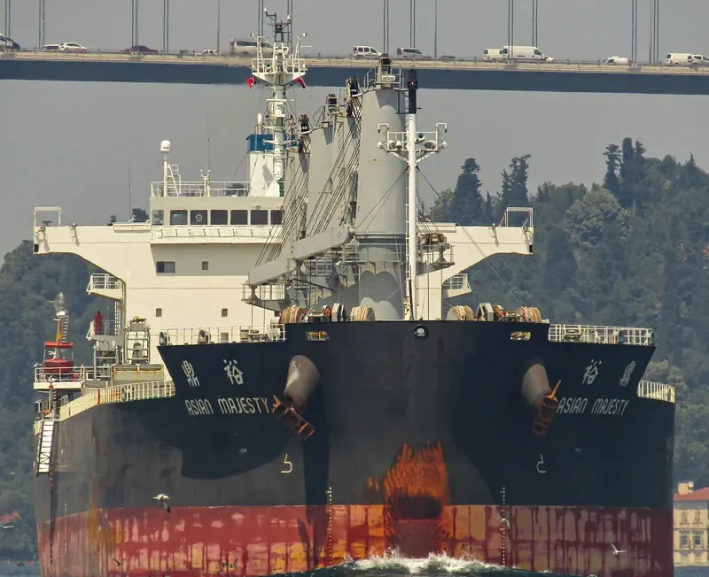ASIAN MAJESTY Bulk Carrier IMO 9724996 photo 8