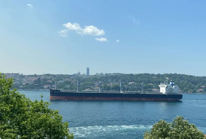 ASIAN MAJESTY Bulk Carrier IMO 9724996 photo 9