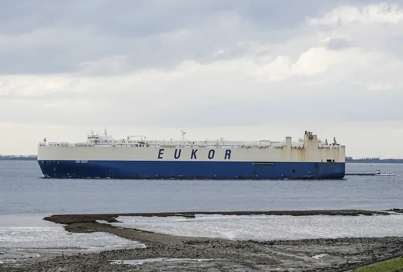 ASIAN MAJESTY Bulk Carrier IMO 9724996 photo 10