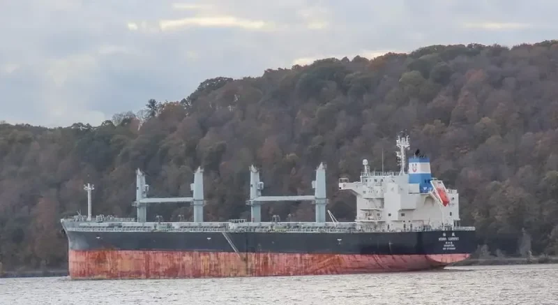 ASIAN SUMMIT Bulk Carrier IMO 9725005 photo 2