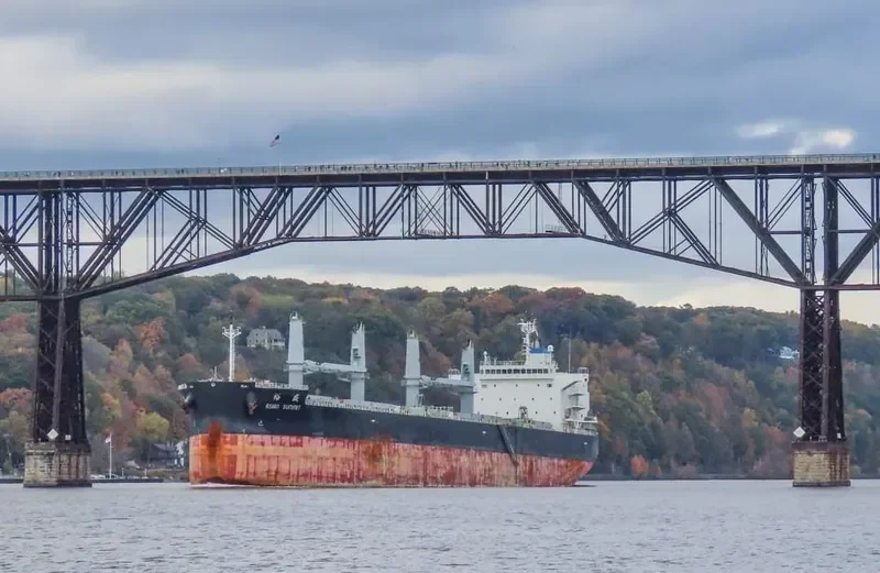 ASIAN SUMMIT Bulk Carrier IMO 9725005 photo 4
