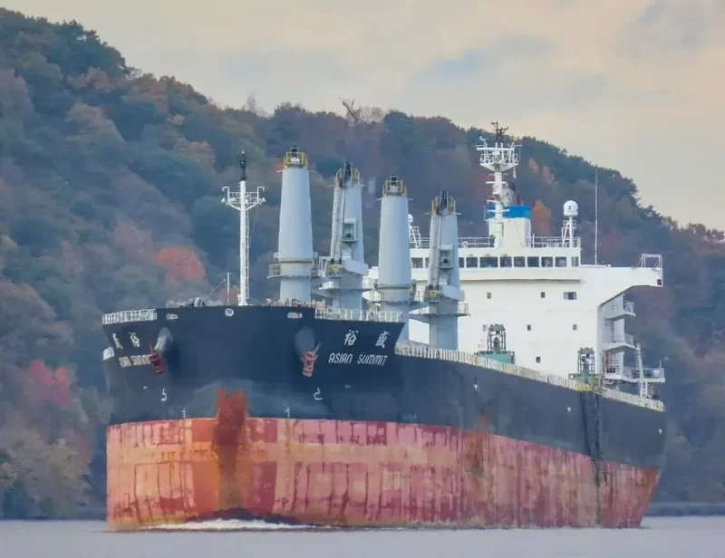 ASIAN SUMMIT Bulk Carrier IMO 9725005 photo 5