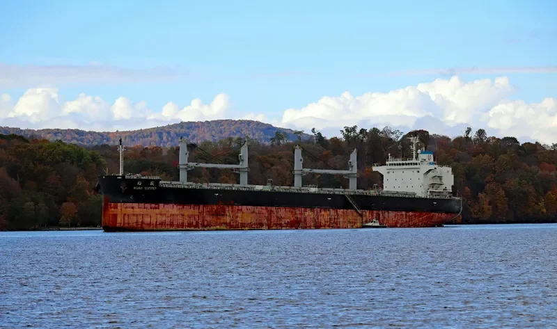 ASIAN SUMMIT Bulk Carrier IMO 9725005 photo 7
