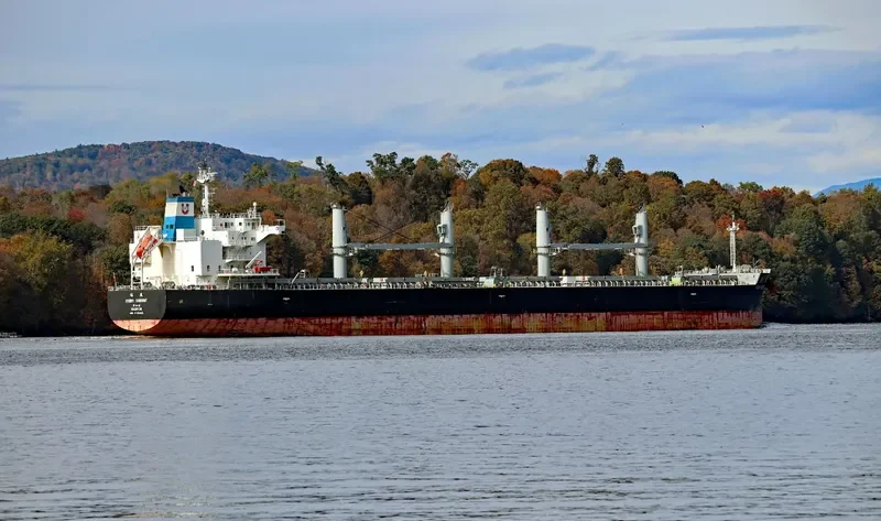 ASIAN SUMMIT Bulk Carrier IMO 9725005 photo 8
