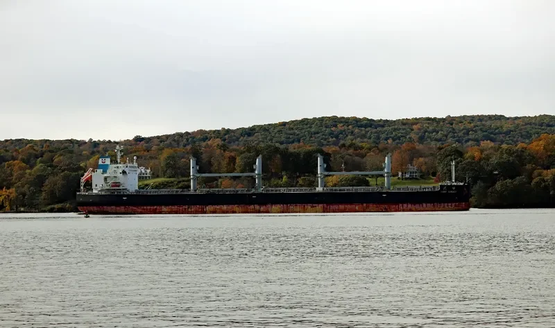 ASIAN SUMMIT Bulk Carrier IMO 9725005 photo 9