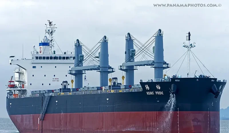 ASIAN PRIDE Bulk Carrier IMO 9725029 photo 2