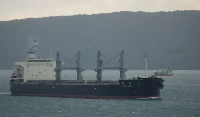 ASIAN PRIDE Bulk Carrier IMO 9725029 photo 3